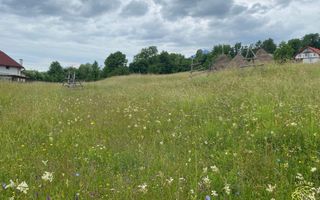 Teren Intravilan 3093 mp-ideal case/cabane/pensiune-Bistrita Bargaului - Poză 6