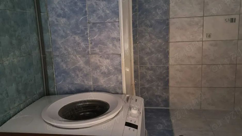 Petre Ispirescu Bârcă - Poză 9