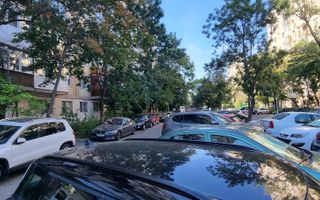 Timisoara Profii - Poză 1