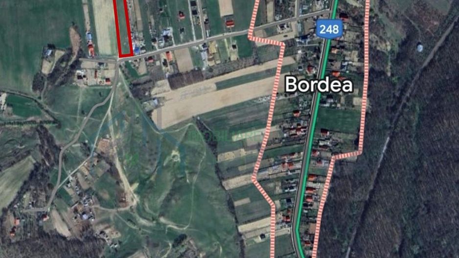 Teren intravilan 7.200 m2, Bordea, Grajduri, ideal case/ investitie - Poză 8