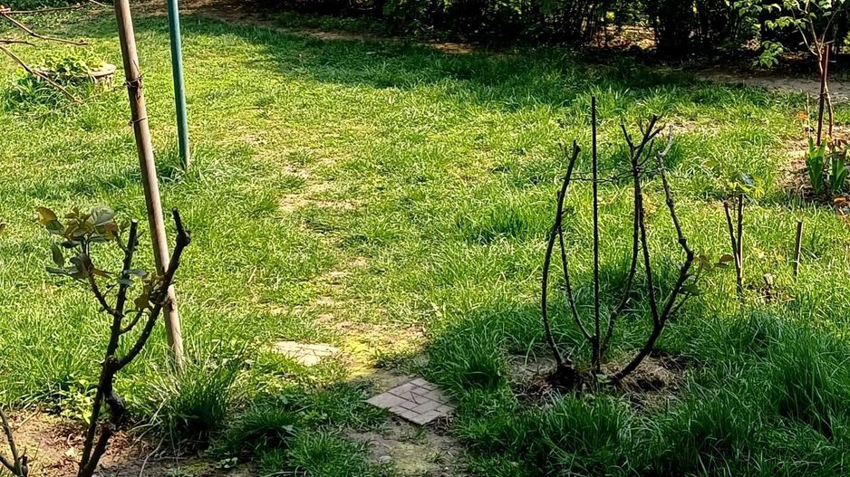 Apartament 2 camere cu gradina și garaj Băneasa - Poză 9