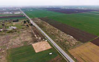 Teren de 41800 mp ieșire Vladimirescu - Poză 5