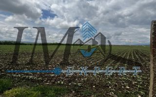 Teren de vânzare in Lancram zona noua - Poză 1