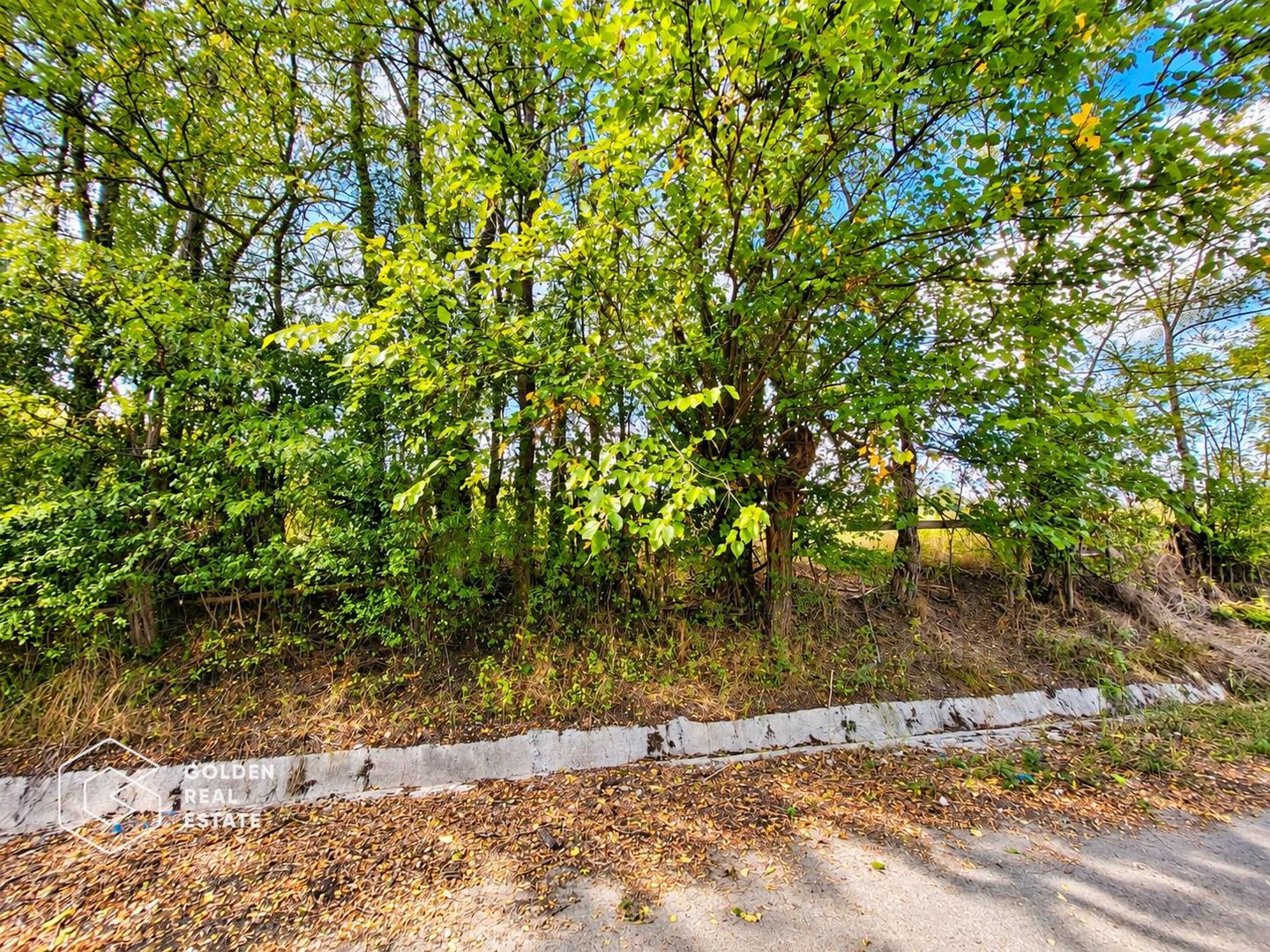 Teren intravilan, 1260 mp, localitate Ususau - Poză 3