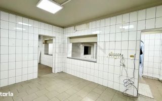 Spatiu pentru activitati comerciale I Laborator - Spatiu productie - Poză 3