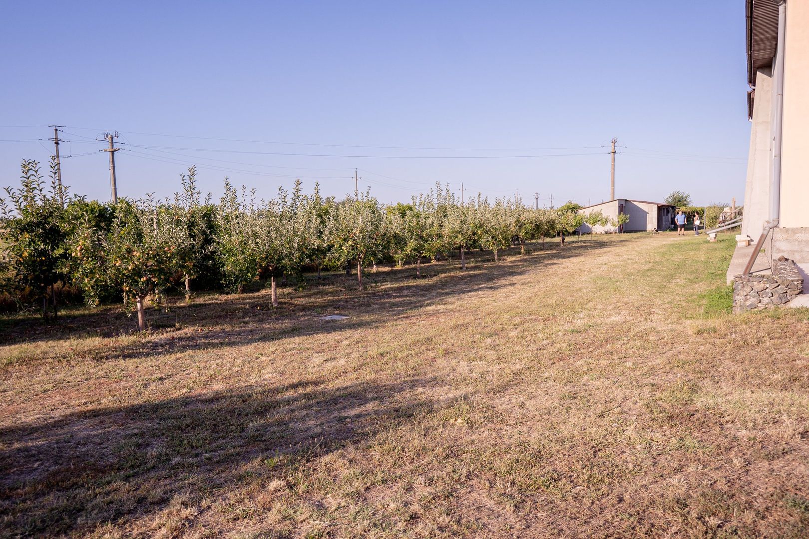 Casă de vânzare Furceni – 7 camere, teren 8.000 m - Poză 17