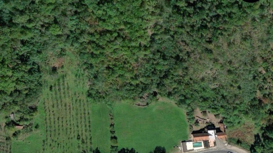 Teren de vanzare pe malul Dunarii. - Poză 2