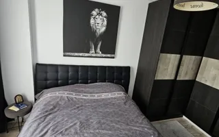 Apartament 2camere parc Bazilescu - Poză 13