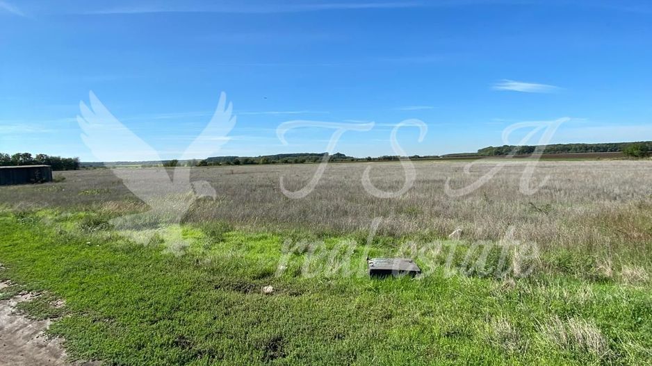 Teren Intravilan 825mp Cu dubla deschidere si Drum de servitute, Dascalu  Ilfov - Poză 6