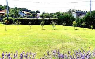 Casa traditionala de vis, aproape de Cluj-Napoca - Poză 20