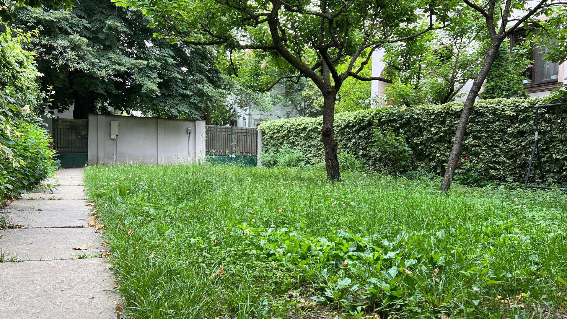 Apartament in vila cu 5 camere si curte proprie | Domenii - Casin - Poză 2