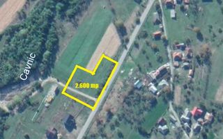 Teren intravilan 2.600 mp Lăschia – Drumul principal, utilități complete - Poză 1