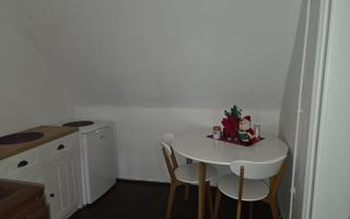 Garsoniera | 25 MP | Grădină | Pivniță | Central - Poză 5