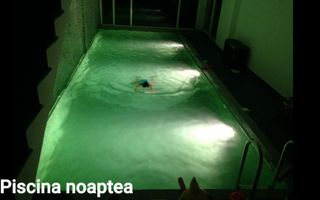Casă 5 camere de vânzare | Sibiu, Turnișor | 550 mp, piscină - Poză 10
