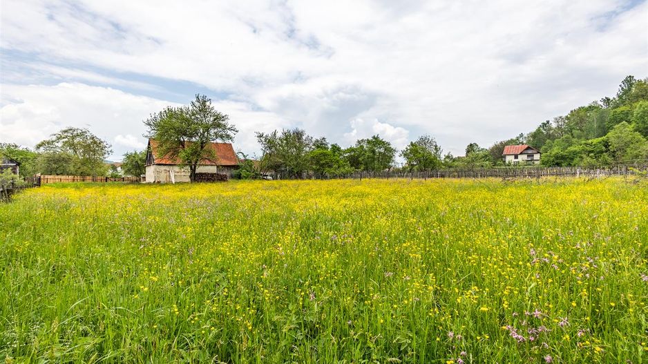 Casa traditionala + 8.500 mp teren, intravilan, Sinca Noua, Brasov - Poză 19