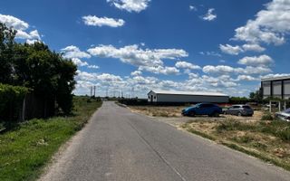 Teren intravilan 1.000 mp | Lângă Balta Pasărea | 20 de min de București - Poză 6