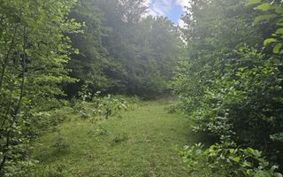 Teren extravilan  cu potential turistic - Brezoi - Poză 2