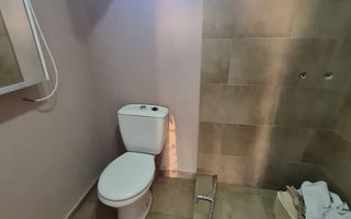 Casa cu teren de 14340 mp în Jebel/Pretabila pentru afacere - Poză 37