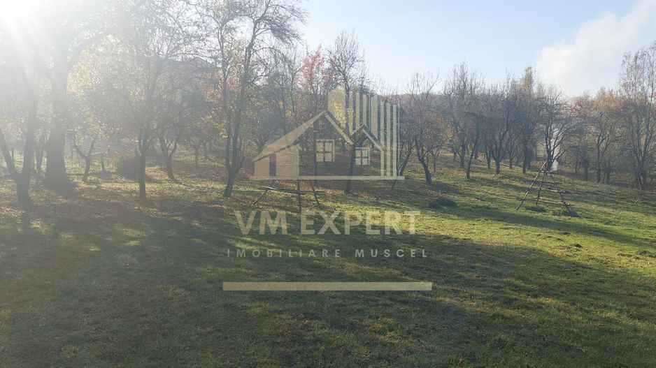 TEREN INTRAVILAN 3000 MP, CAMPULUNG - Poză 6