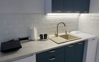 Garsoniera renovata complet 22mp Plevnei