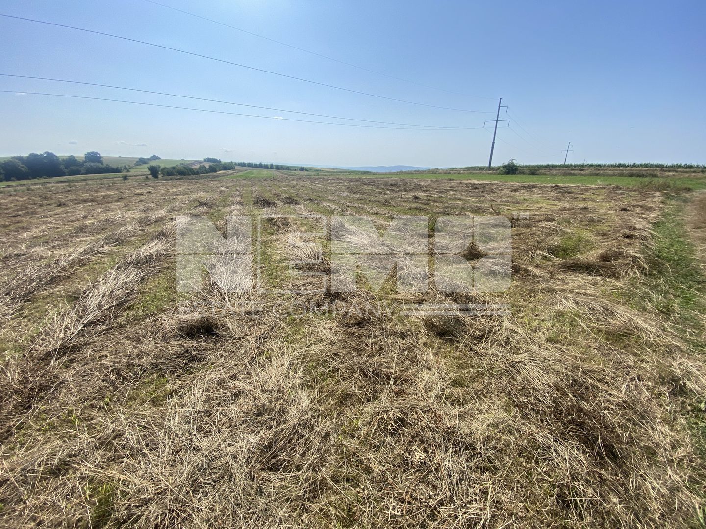 Teren Tarinca | 3400 MP | Front 24 Metri - Poză 1