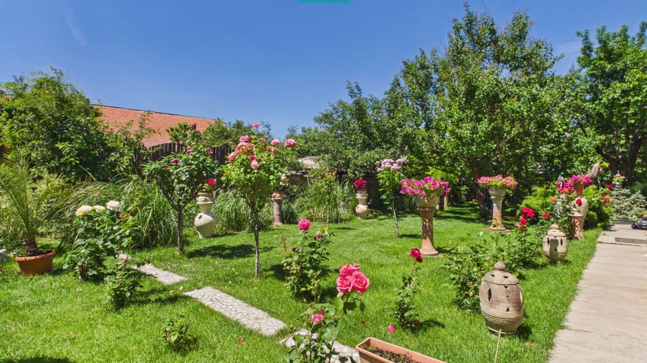 Spațiu de închiriat – Zona Mircea cel Bătrân - Poză 14
