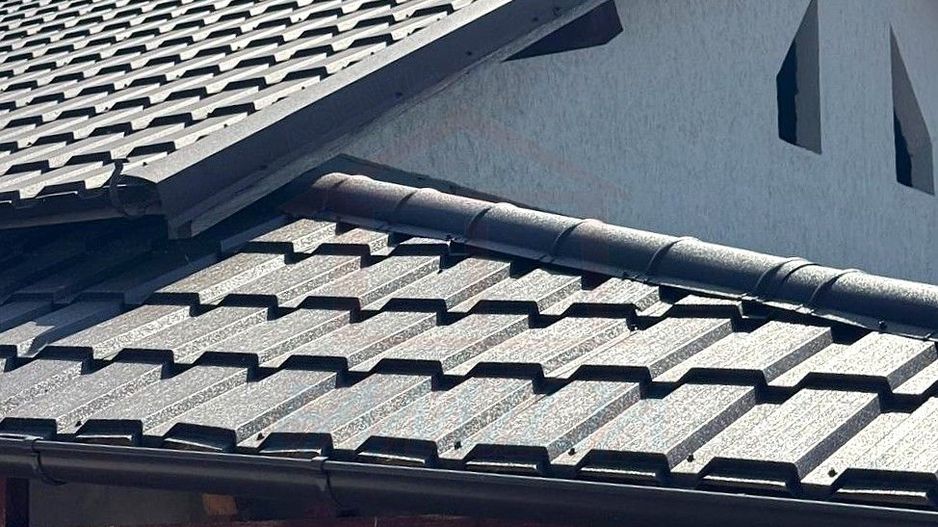 48.000 Euro casa+teren (in concesiune) 804 mp in com Branistea - Poză 1