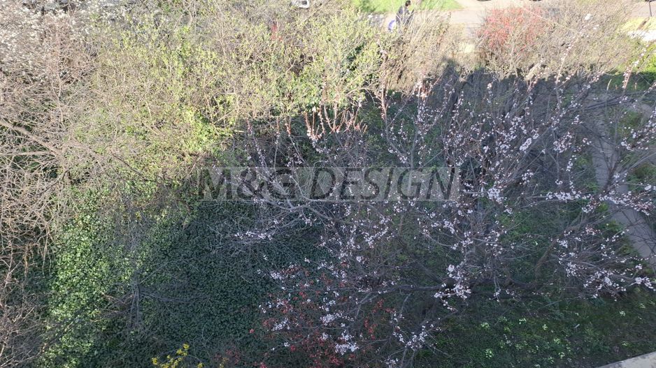 Ap 2 camere, transformat in 3, et 1, cu gradina, Sagului - Poză 16