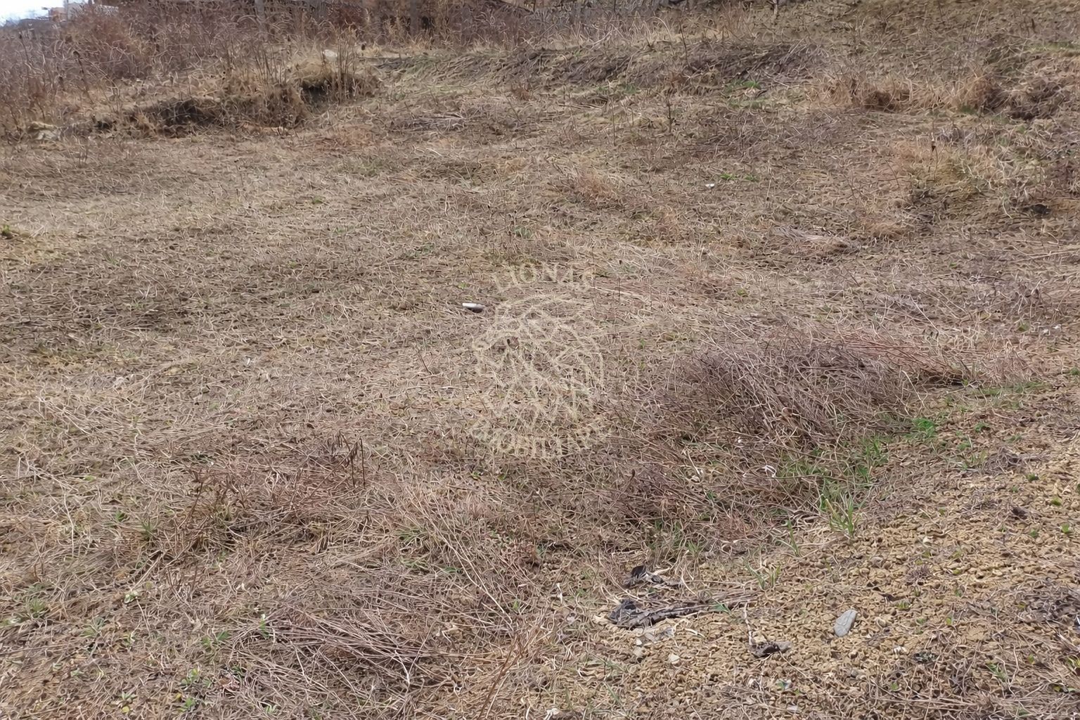 Teren intravilan 550 mp cu utilitati-ideal casa-Zona Valea Rusului - Poză 2