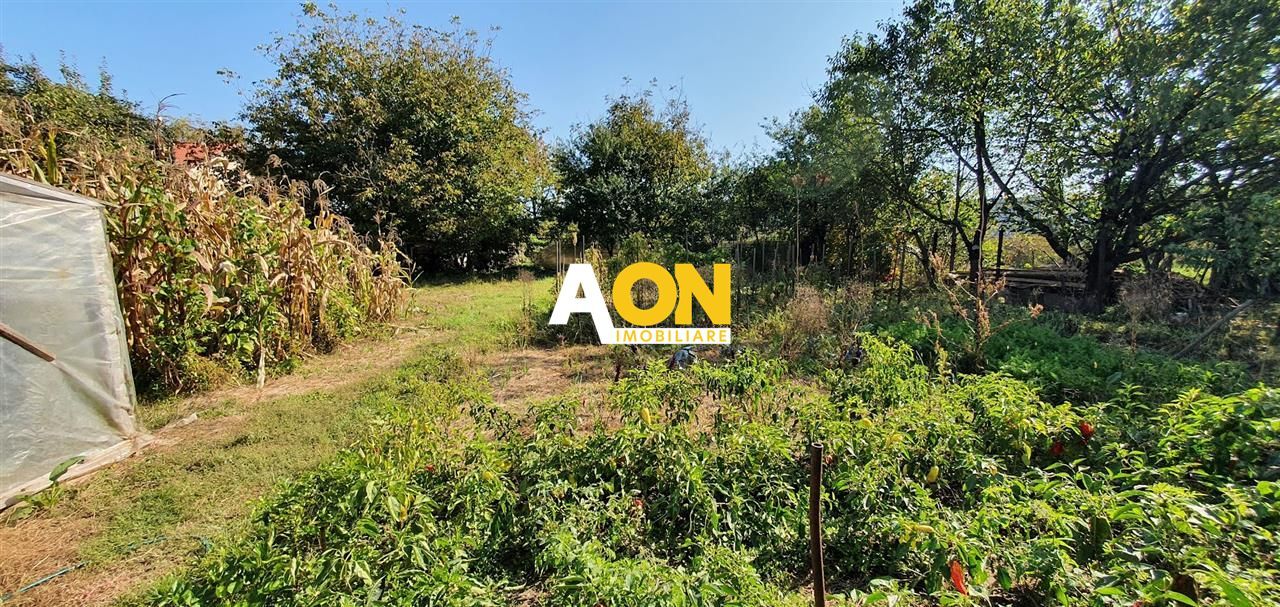 Casa cu 5 camere, 1500 mp teren, Centru. Pretabila pentru muncitori - Poză 3