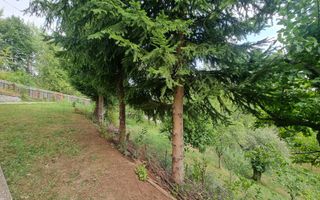 Casa de vacanta in Nistoresti - Poză 5