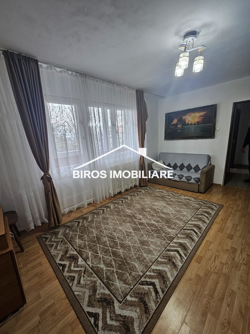 2 camere Profi - Valea Rosie - Poză 2
