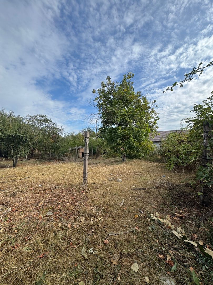Casa + teren 1.065 mp | Domnesti – Zona Toamnei | Deschidere 20 ml - Poză 14