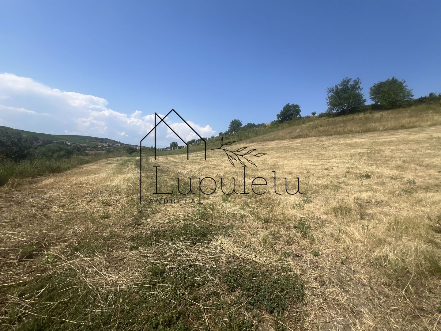 Teren Intravilan |5.000 MPU | Șura-Mare | - Poză 3