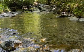 Teren Intravilan | 820 MP | Viștișoara | Vedere Spre Munte - Poză 9