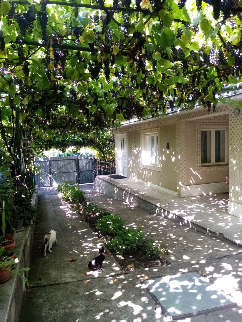 Casă individuală, teren 1026 mp, zona MUNTENI DE JOS; - Poză 1