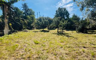 TEREN INTRAVILAN 3234 MP LEREȘTI VOINEȘTI ARGEȘ - Poză 2