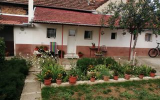 PROPRIETATE CU 2 CASE ȘI CURTE\VALEA TIMIȘULUI\JUD.CS - Poză 5