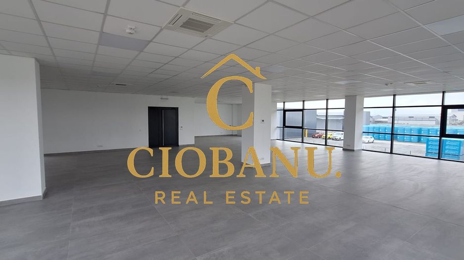 Hale industriale+Cladire de Birouri de inchiriat zona Aeroport - Poză 5