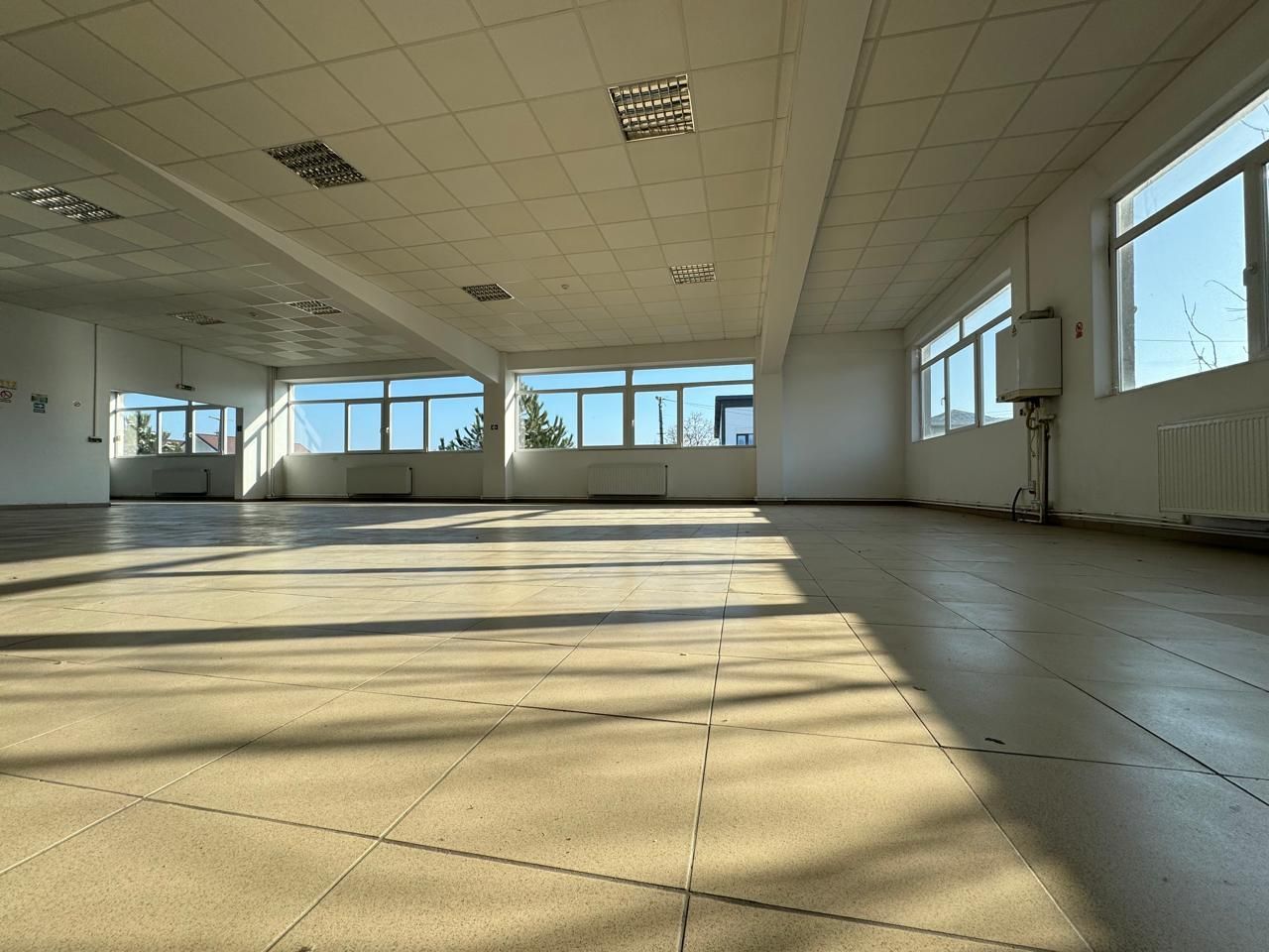 Hala productie P+1 si apartament de serviciu Navodari - c-tie beton - Poză 8