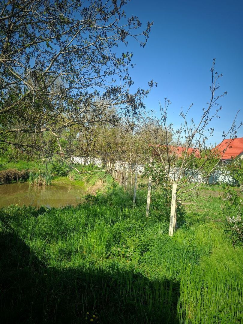 Vânzare, casă, com. Boșcana, r-nul Criuleni - Poză 13