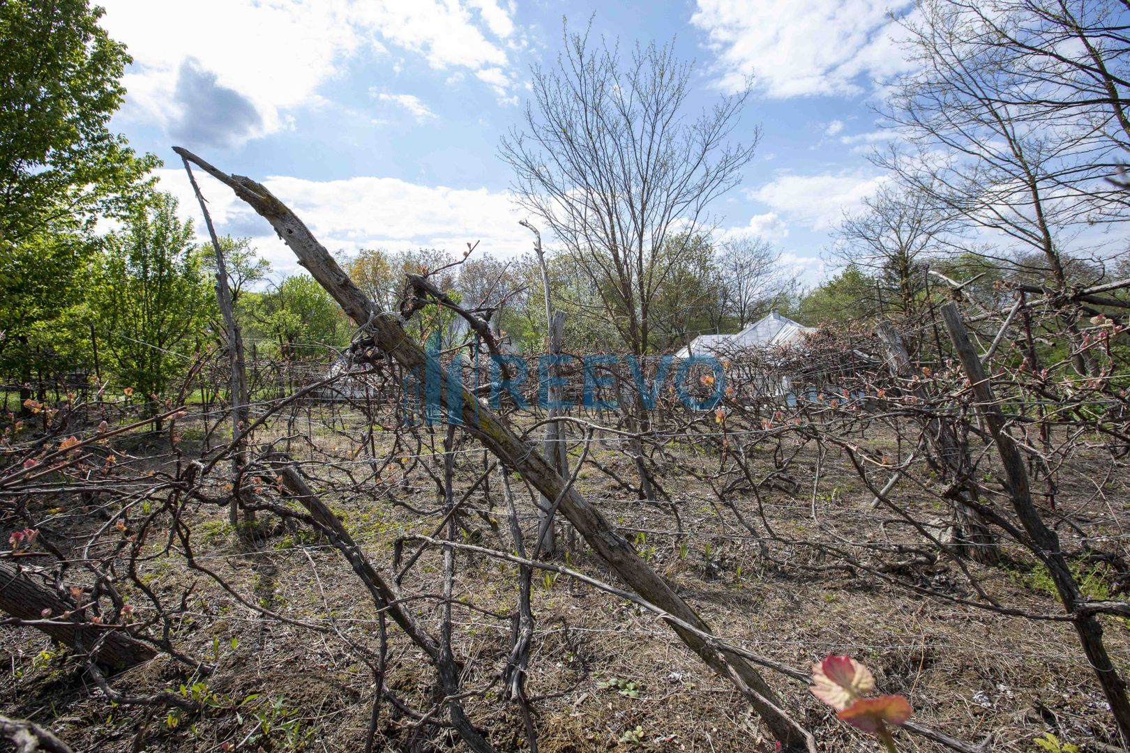 Casă de vânzare în Blăgești, Bacău - Poză 33