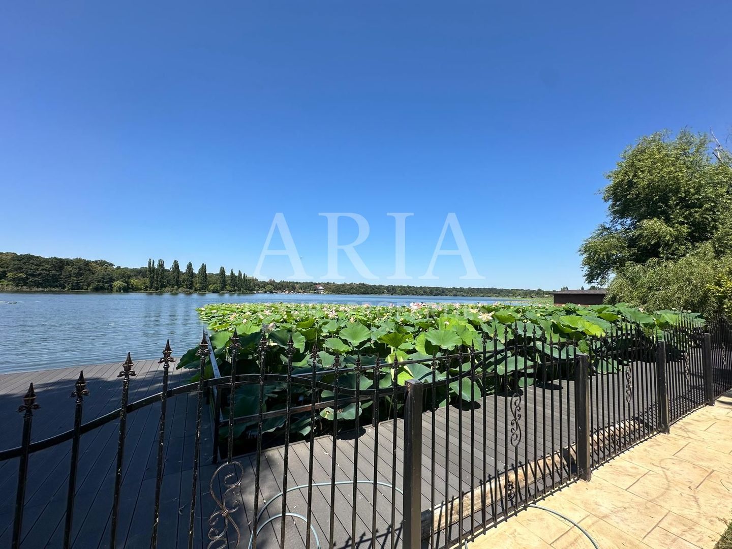 VILĂ INDIVIDUALA LAKEFRONT SNAGOV | POOL - Poză 21