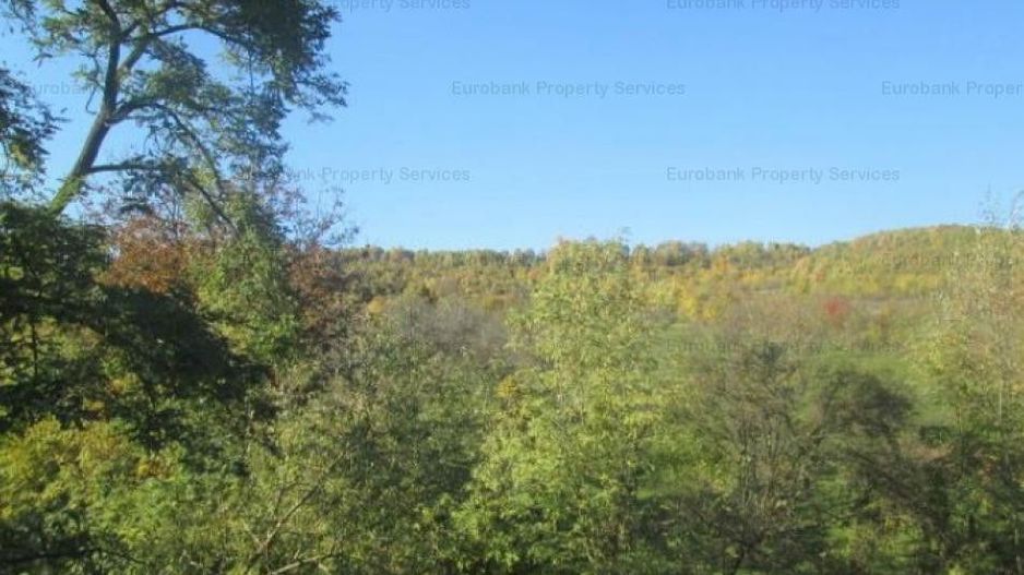 Teren Stefanesti sat Valea Mare - Poză 2