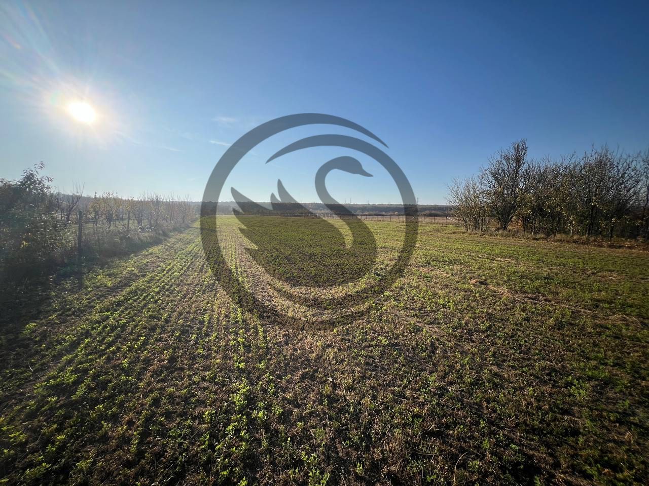 Teren intravilan de vanzare | 12.650 mp | Ghirdoveni, | COMISION 0% - Poză 5