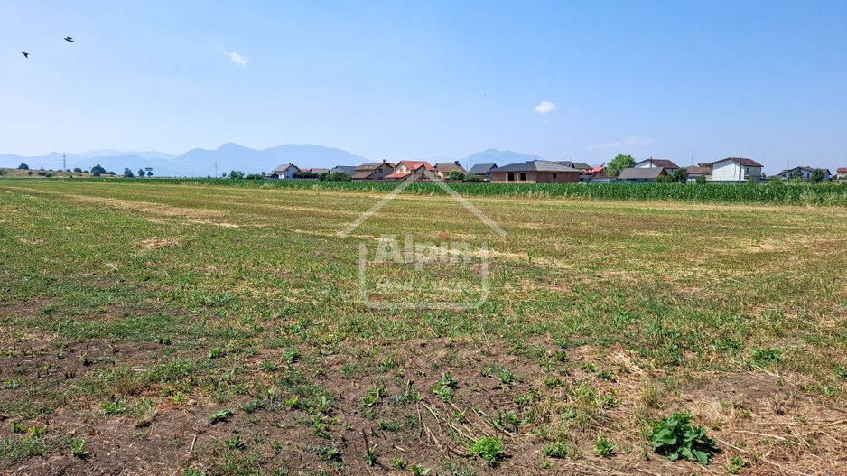 Terenuri Intravilane  Harman - Poză 14