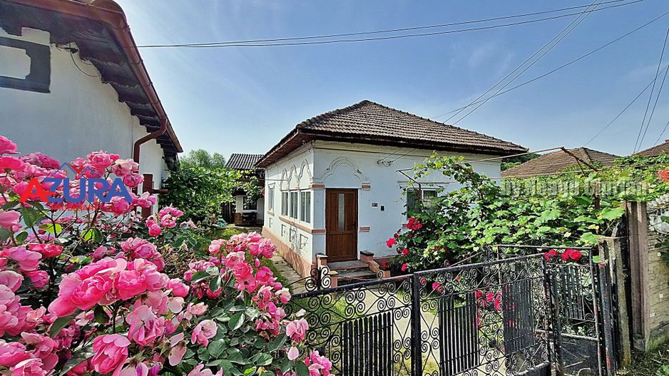 AZURA Imobiliare - Casa Merisani zona Primarie, Panouri fotovoltaice - Poză 9