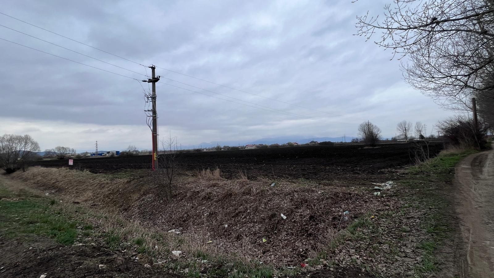Teren 50000mp Extravilan-Intrare Halchiu-Cod 5235 - Poză 5