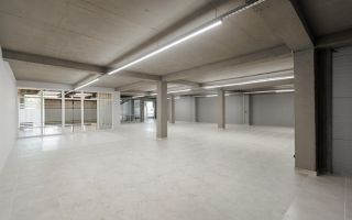 Chirie, spațiu comercial, 700 mp, str. Tudor Vladimirescu, Buiucani - Poză 22