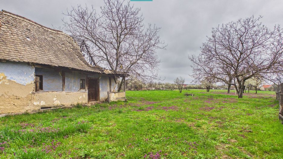Teren 2777 mp intravilan, utilități, Felcheriu - Poză 2